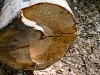 img_8912 img_8912
