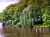 IMG_3816 IMG_3816
