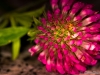 img_0028230028 img_0028230028