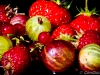 img_0001140001 img_0001140001
