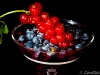 img_0015270015 img_0015270015